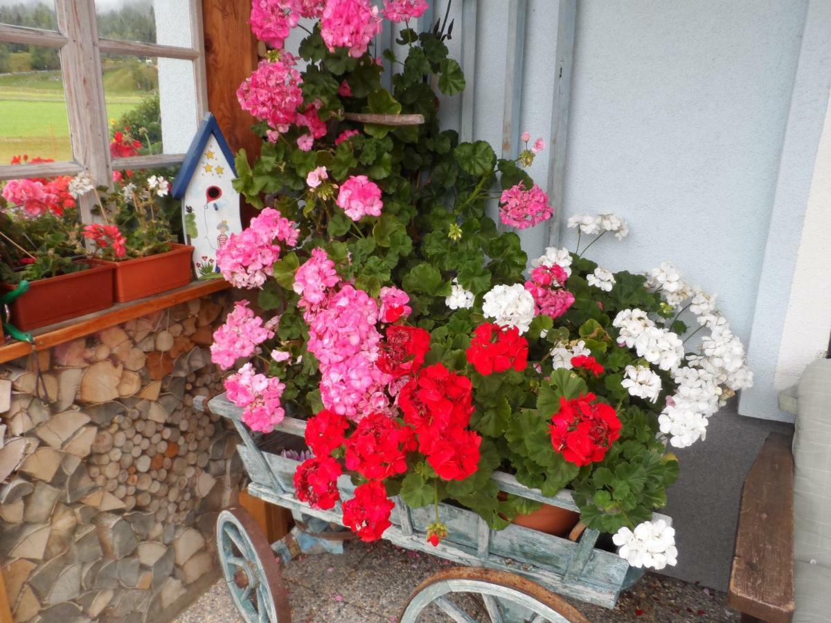 Haus Am Wiesenrain Leutasch Ngoại thất bức ảnh